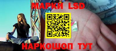 индика Заводоуковск