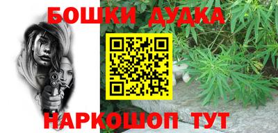 индика Заводоуковск