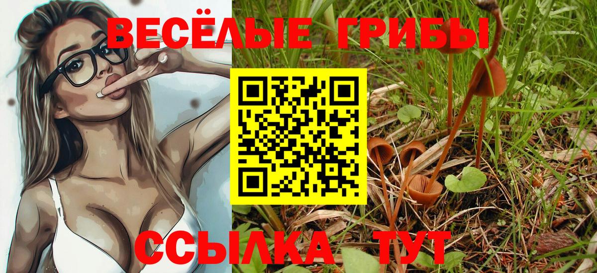 Псилоцибиновые грибы ЛСД  Галлюциногенные грибы MAGIC MUSHROOMS  Вход с VPN  Владивосток 